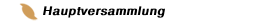 Hauptversammlung