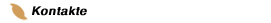 Kontakte